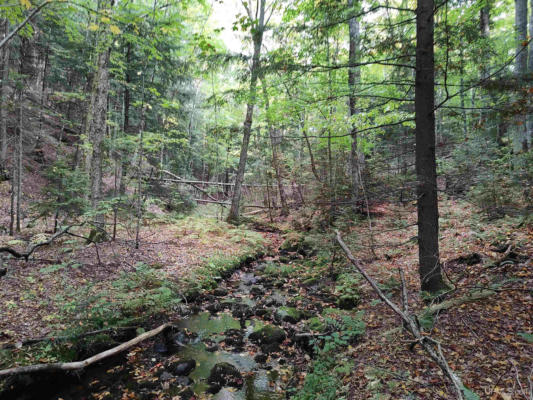 160 ACRES LOST CREEK, MARQUETTE, MI 49855 - Image 1