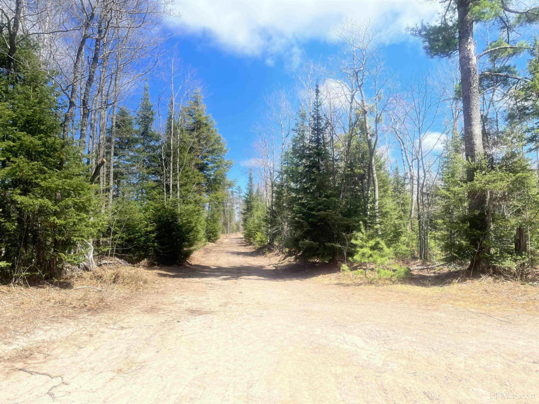480 ACRES OFF CR AAA, MICHIGAMME, MI 49861, photo 1 of 20