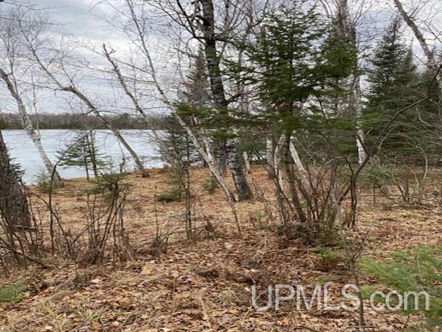 LOT 7 E EAST MAGGIE POINT, CRYSTAL FALLS, MI 49920, photo 1 of 5