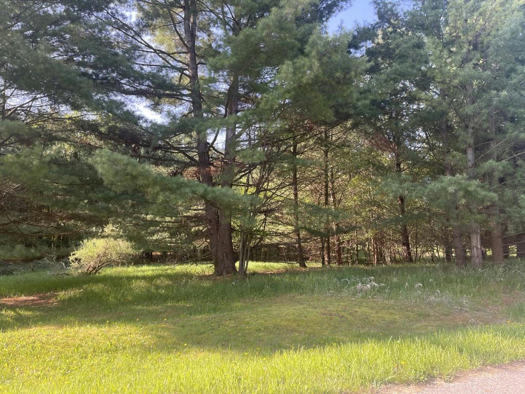 155 ROBINHOOD, GLADWIN, MI 48624, photo 1 of 19