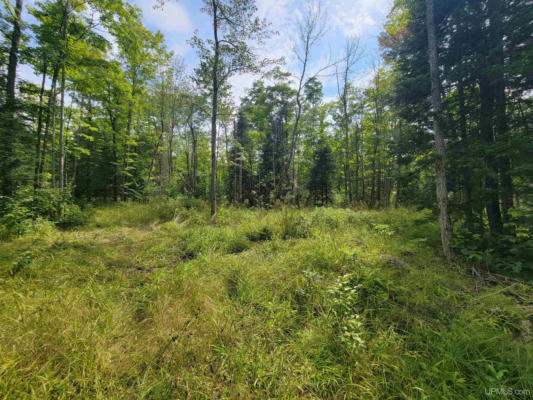 TBD BLUE JAY, TROUT CREEK, MI 49967, photo 3 of 6