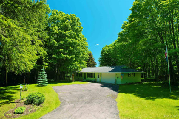21965 CHASSELL PAINESDALE RD, CHASSELL, MI 49916 - Image 1