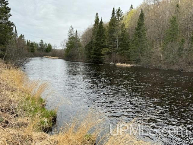 TBD LOT 30 RIVER COUNTRY, IRON RIVER, MI 49935, photo 1 of 8