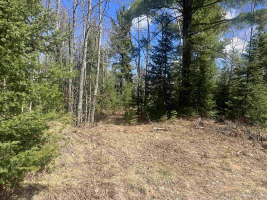 480 ACRES OFF CR AAA, MICHIGAMME, MI 49861, photo 5 of 20