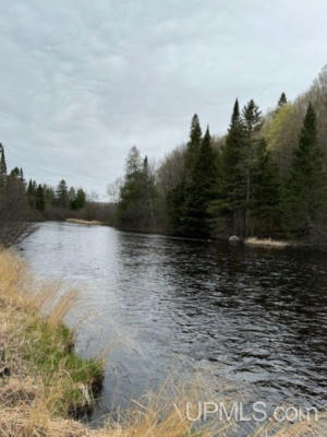 TBD LOT 30 RIVER COUNTRY, IRON RIVER, MI 49935, photo 5 of 8