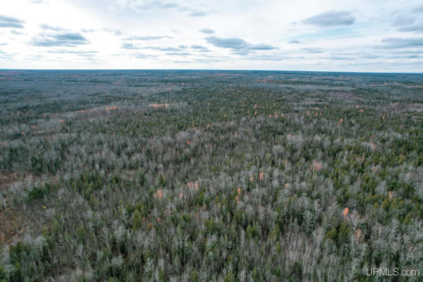 280 ACRES TBD 38TH, ROCK, MI 49880, photo 2 of 17