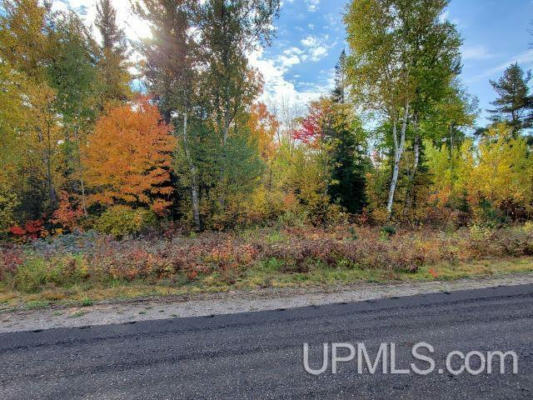 LOT #13 NORTH GREENWOOD, ISHPEMING, MI 49849 - Image 1