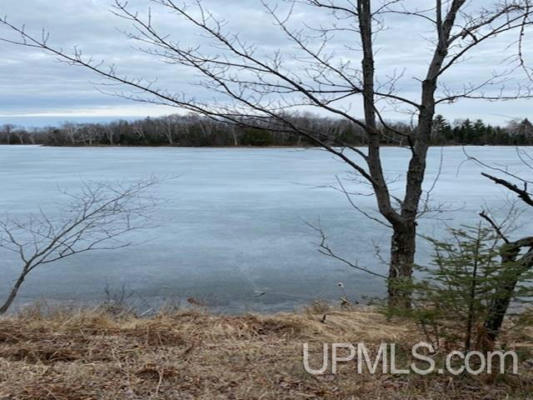 LOT 7 E EAST MAGGIE POINT, CRYSTAL FALLS, MI 49920, photo 4 of 5