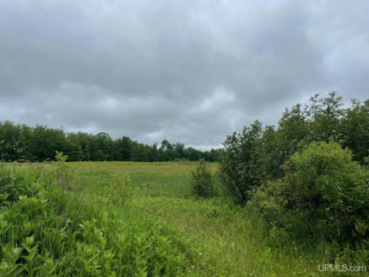 TBD5F LOWER PIKE RIVER, CHASSELL, MI 49916 - Image 1