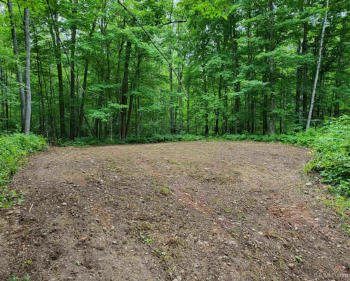 TBD DREAM LAKE LOT 4, TIPLER T-WI, WI 54542, photo 3 of 6