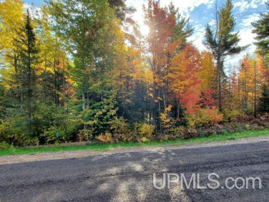 LOT #11 NORTH GREENWOOD, ISHPEMING, MI 49849 - Image 1