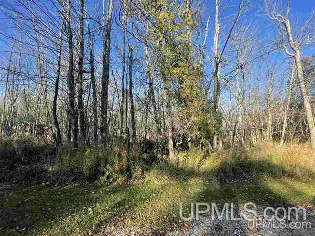 LOT 9 PETIT POINT, STEPHENSON, MI 49887, photo 1 of 5