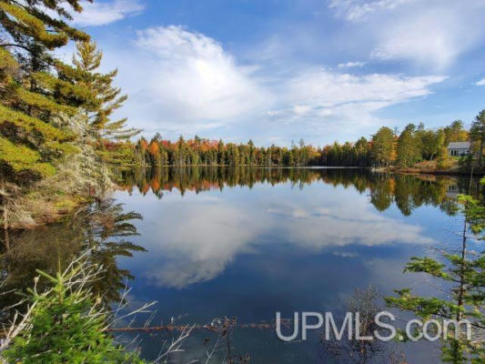 LOT #4 NORTH GREENWOOD, ISHPEMING, MI 49849 - Image 1