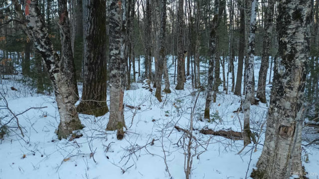 LOT 49 HEWITT, HURLEY C-WI, WI 54534, photo 5 of 28