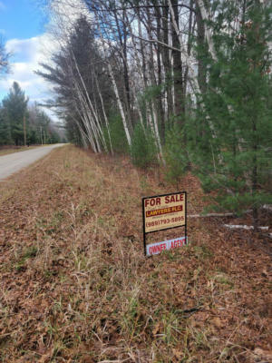 JACKPINE TRIAL TRAIL, ALGER, MI 48610, photo 2 of 11