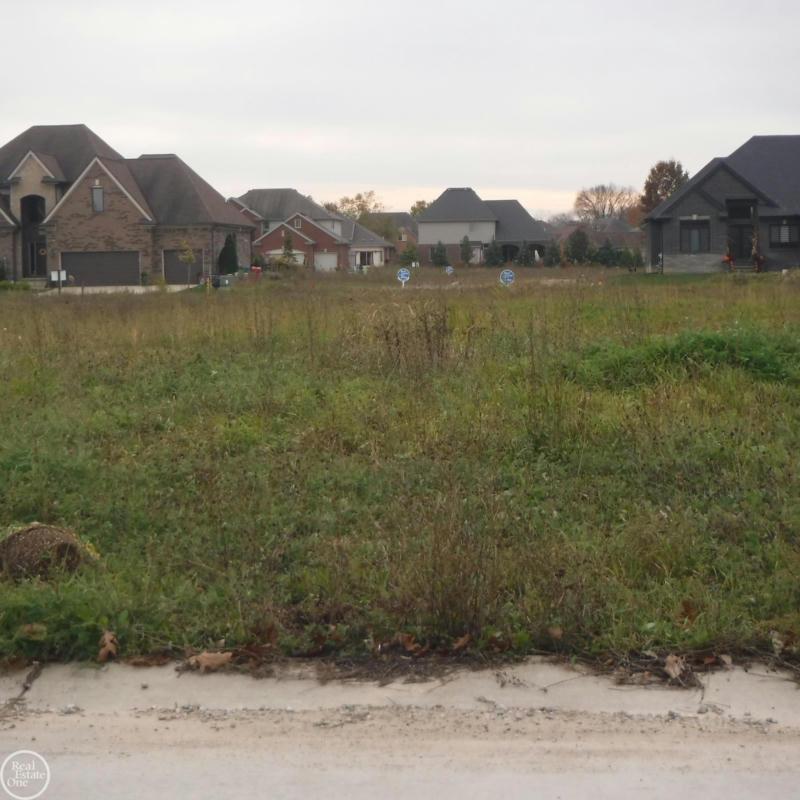 19293 POTOMAC DR LOT 186, MACOMB TWP, MI 48044, photo 1