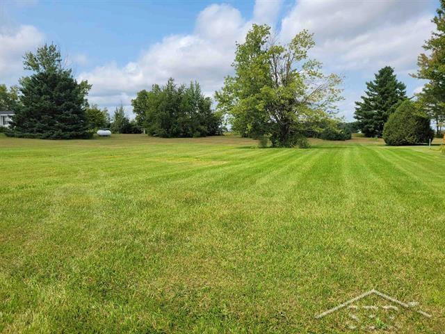E TOWNLINE 16 ROAD, PINCONNING, MI 48650, photo 1 of 2