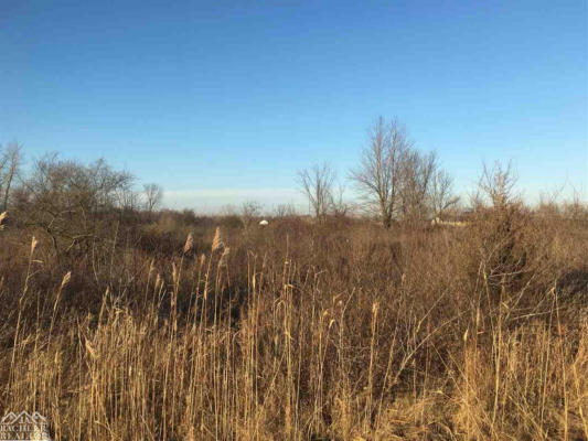 VACANT MARSH, EAST CHINA, MI 48054 - Image 1