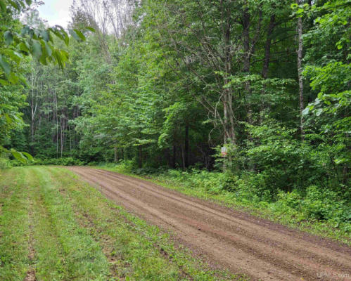 TBD DREAM LAKE RD LOT 2, TIPLER-WI, WI 54542, photo 3 of 6