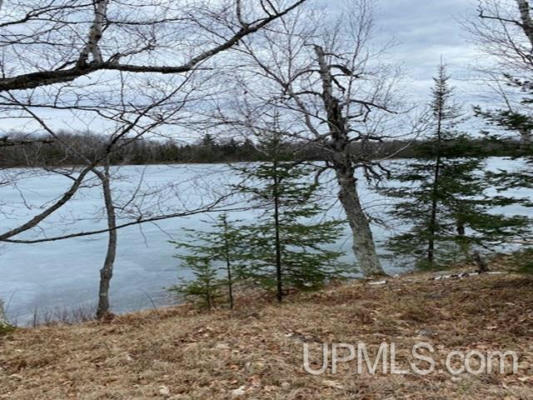 LOT 7 E EAST MAGGIE POINT, CRYSTAL FALLS, MI 49920, photo 2 of 5