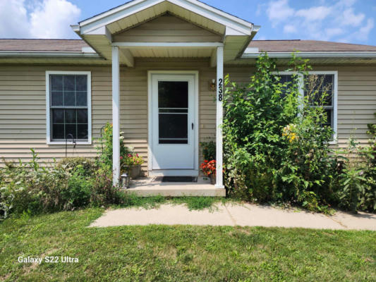 238 JOY ST, BLISSFIELD, MI 49228 - Image 1