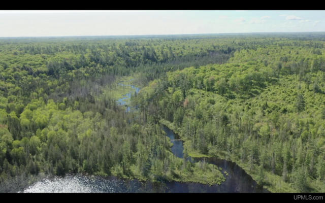 527 USFS RD 2130, IRON RIVER, MI 49935, photo 5 of 37