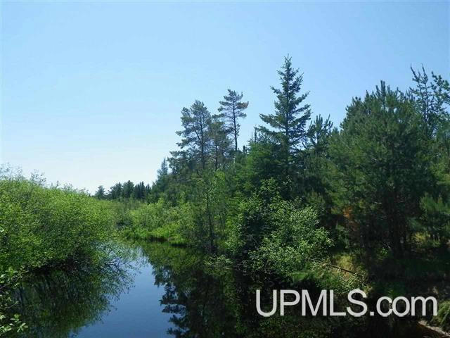 50 +/- ACRES WALSTROMS, REPUBLIC, MI 49879, photo 1 of 6