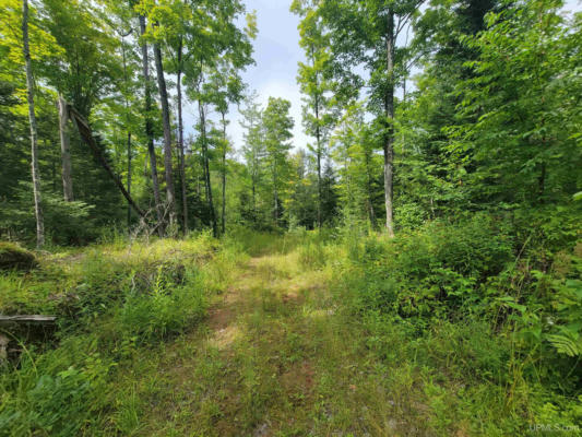 TBD BLUE JAY, TROUT CREEK, MI 49967, photo 4 of 6