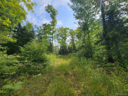 TBD BLUE JAY, TROUT CREEK, MI 49967, photo 5 of 6