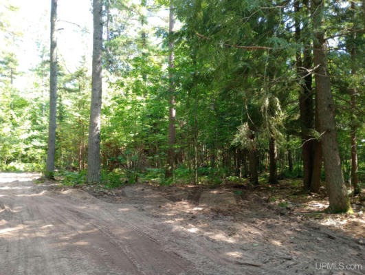 TBD WHITE PINE (LOT 2), MARQUETTE, MI 49855, photo 3 of 8