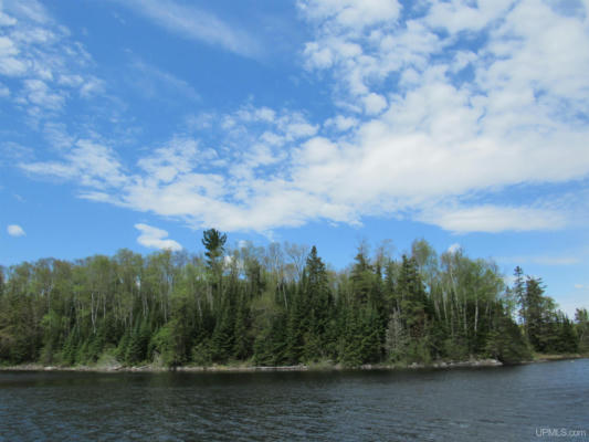 LOT 27 SECLUDED POINT, MICHIGAMME, MI 49861, photo 4 of 25
