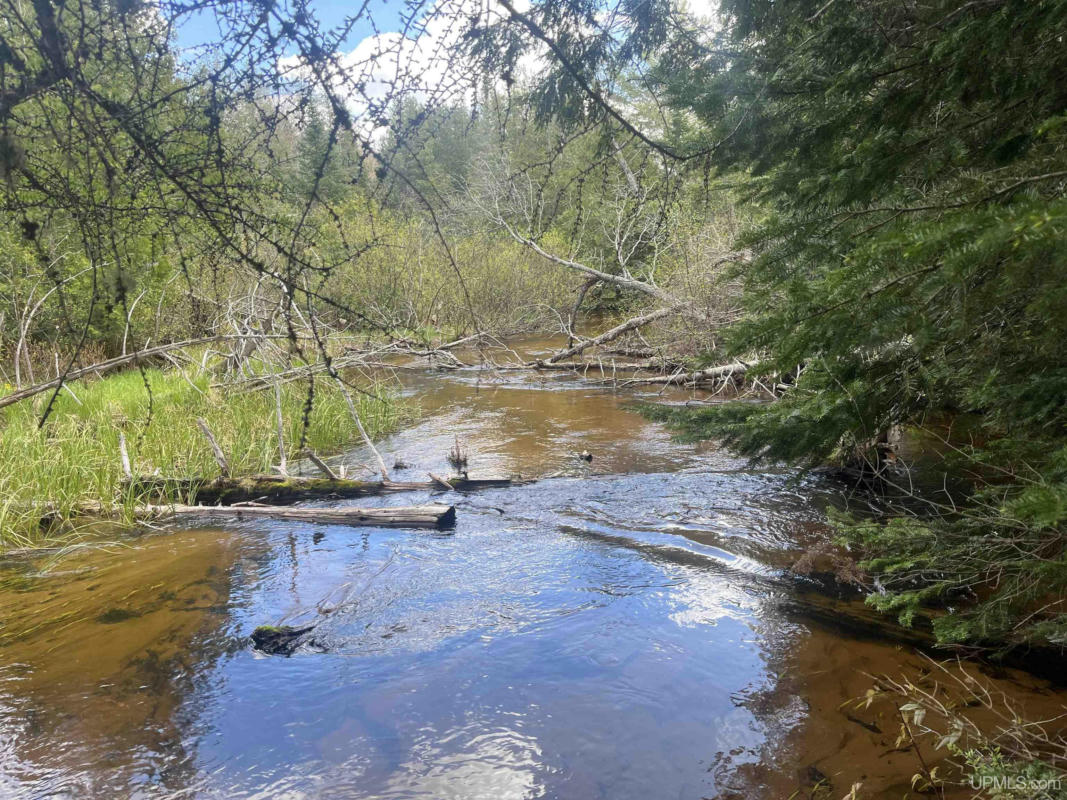 120 ROSS CREEK COUNTY ROAD 450, SENEY, MI 49883, photo 1 of 33