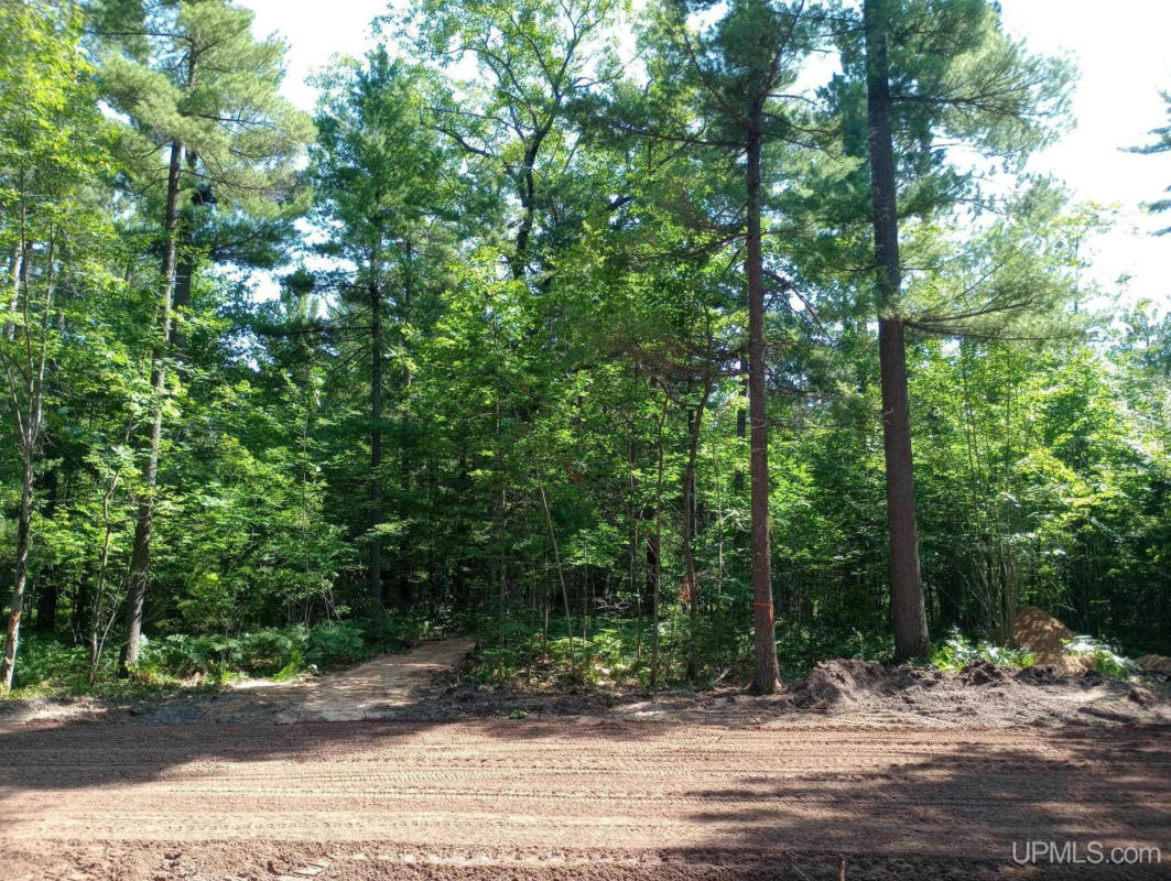 TBD WHITE PINE (LOT 2), MARQUETTE, MI 49855, photo 1 of 8