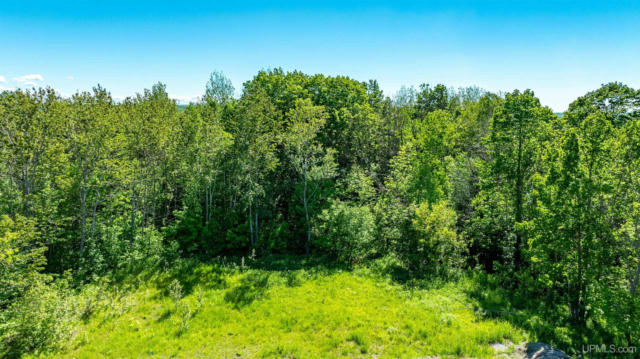 LOT 53 MAPLEWOOD GLADE, HANCOCK, MI 49930 - Image 1