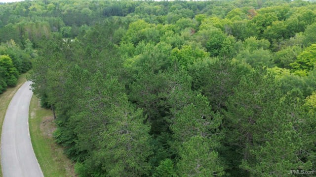 LOT 22 HIDDEN PINES, COUNTY 437 ROAD, NEWBERRY, MI 49868 - Image 1