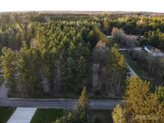 TBD W PINE RIDGE, MANISTIQUE, MI 49854, photo 3 of 5