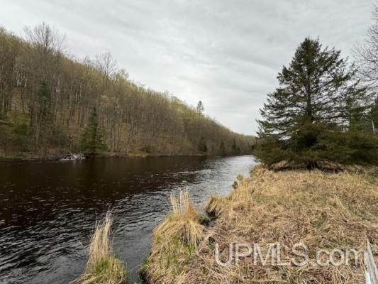 TBD LOT 30 RIVER COUNTRY, IRON RIVER, MI 49935, photo 2 of 8