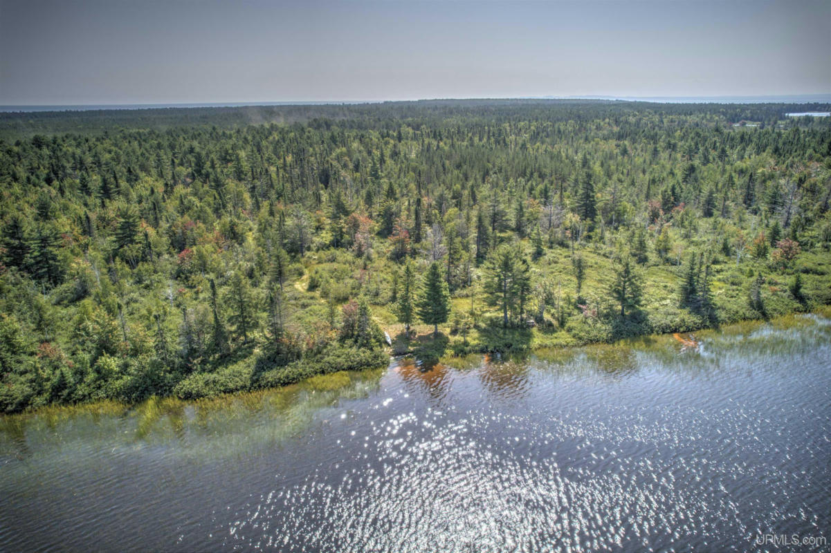 TBD RICE LAKE, LAKE LINDEN, MI 49945, photo 1 of 14