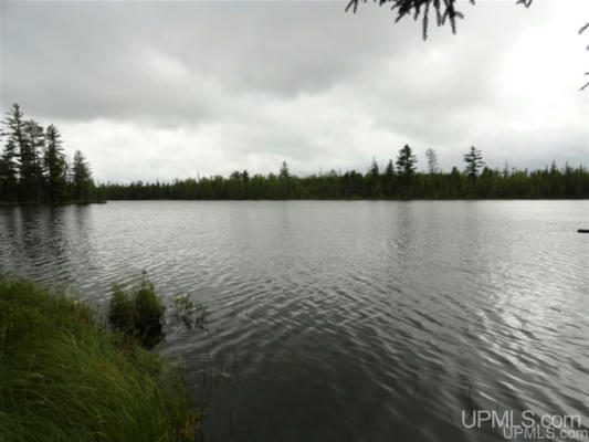 VOELKER LAKE ROAD, ISHPEMING, MI 49849 - Image 1