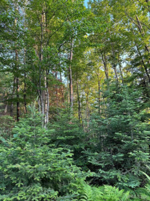 TBD S SHAG LAKE, GWINN, MI 49841 - Image 1