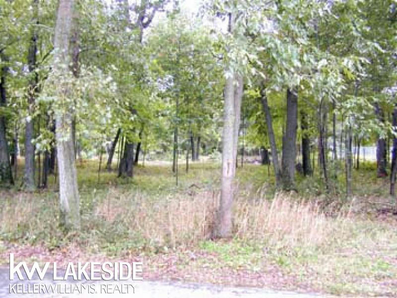 9769 LOST CHANNEL DR UNIT 60, SAND POINT, MI 48755, photo 1 of 4