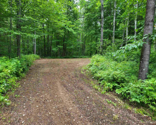 TBD DREAM LAKE RD LOT 3, TIPLER-WI, WI 54542, photo 4 of 5