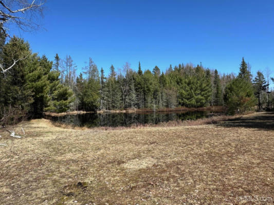 TBD 15 ACRES GREEN, MICHIGAMME, MI 49861, photo 4 of 25