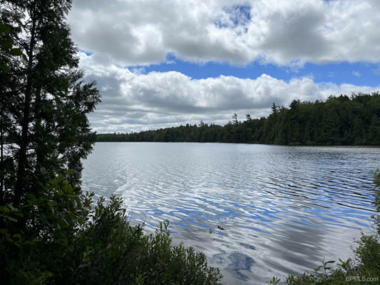 TBD PELISSIER LAKE, MARQUETTE, MI 49855 - Image 1