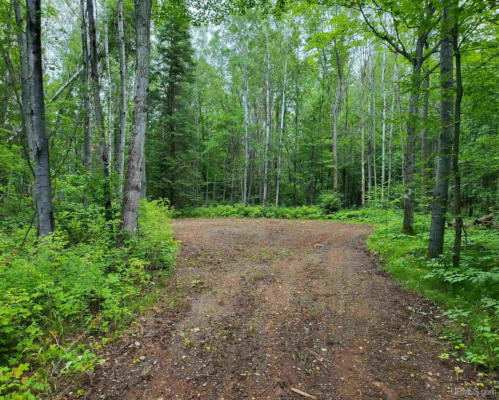 TBD DREAM LAKE LOT 4, TIPLER T-WI, WI 54542, photo 5 of 6