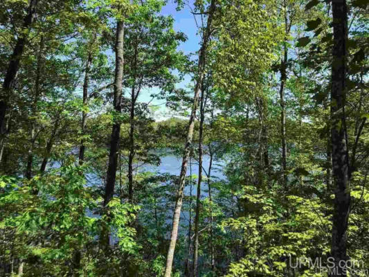 TBD LAKE ANNA, FLORENCE T-WI, WI 54121, photo 3 of 13