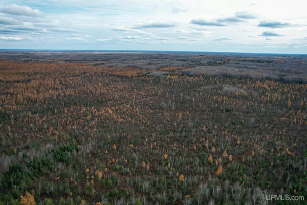 280 ACRES TBD 38TH, ROCK, MI 49880, photo 3 of 17