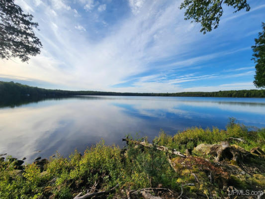 TBD WILDWOOD LAKE, IRON RIVER, MI 49935 - Image 1