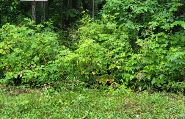 TBD DREAM LAKE LOT 4, TIPLER T-WI, WI 54542, photo 4 of 6