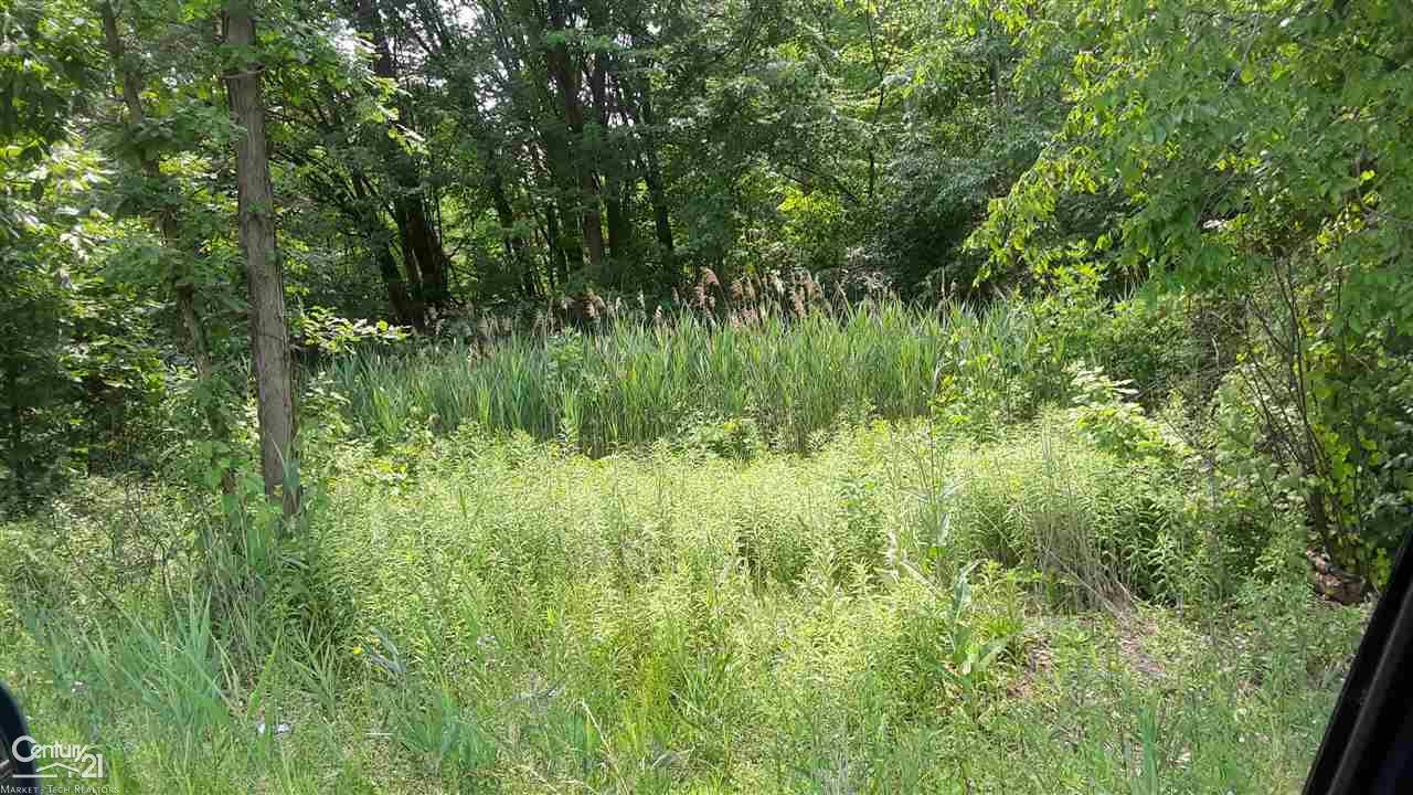 26080 21 MILE RD, CHESTERFIELD TWP, MI 48051, photo 1 of 3